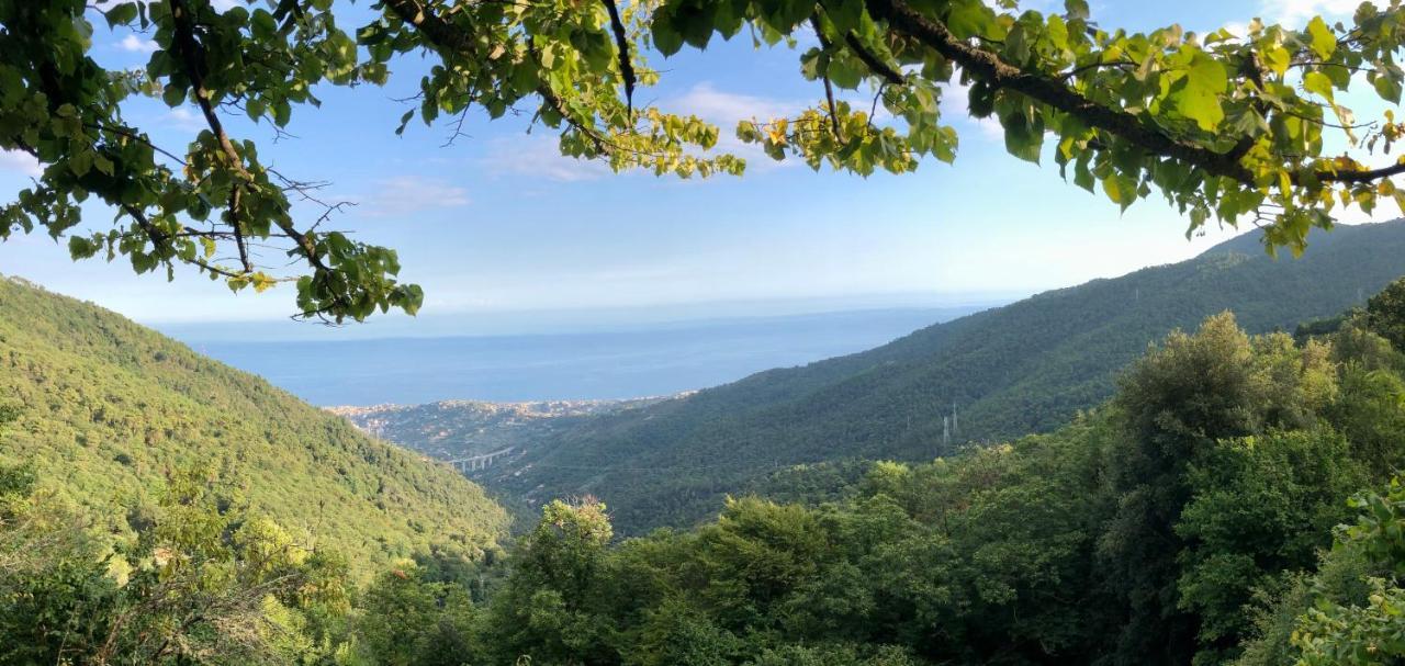 Appartamento Ai Piedi Della Pigna Sanremo Bagian luar foto